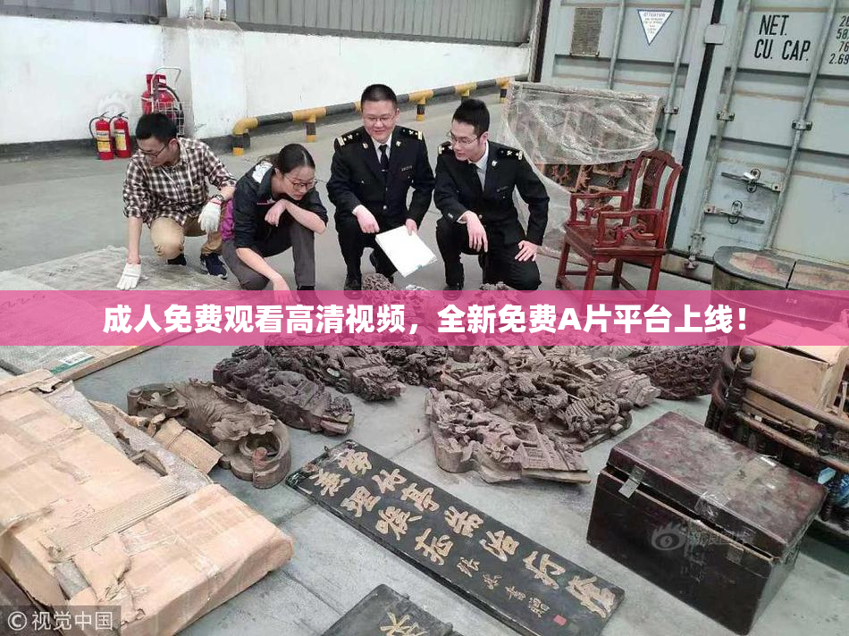 成人免费观看高清视频，全新免费A片平台上线！