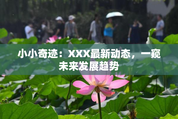 小小奇迹：XXX最新动态，一窥未来发展趋势