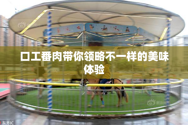 口工番肉带你领略不一样的美味体验