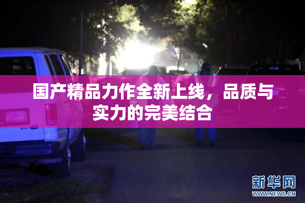 国产精品力作全新上线，品质与实力的完美结合