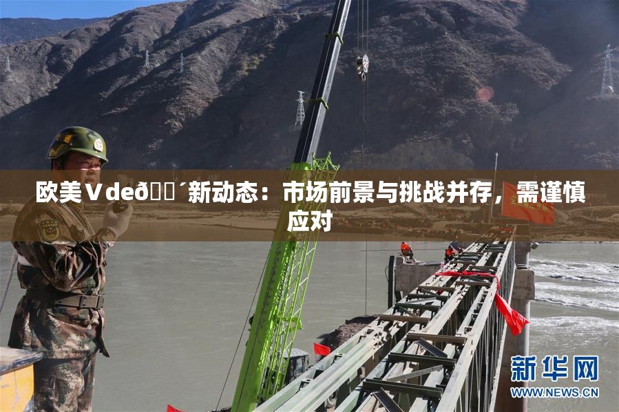 欧美Ⅴde🔴新动态：市场前景与挑战并存，需谨慎应对