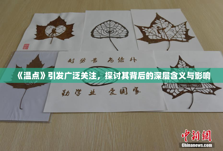 《温点》引发广泛关注，探讨其背后的深层含义与影响