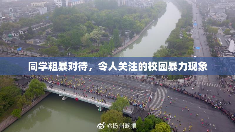 同学粗暴对待，令人关注的校园暴力现象