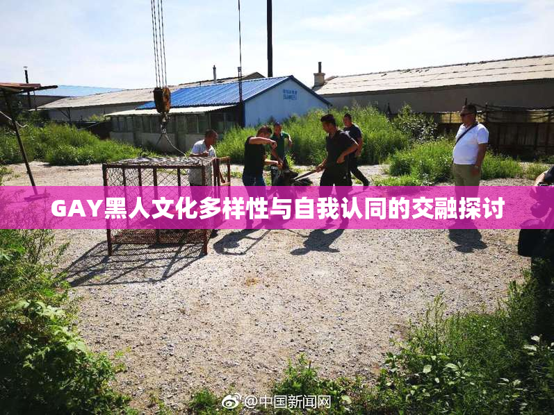 GAY黑人文化多样性与自我认同的交融探讨