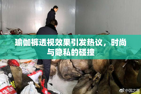 瑜伽裤透视效果引发热议，时尚与隐私的碰撞