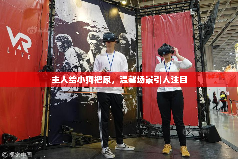 主人给小狗把尿，温馨场景引人注目