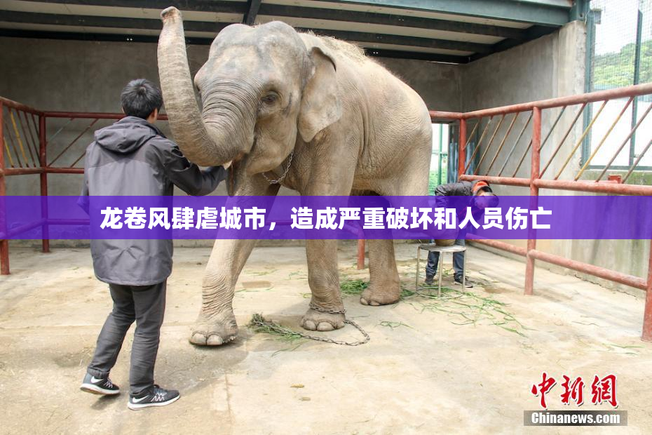 龙卷风肆虐城市，造成严重破坏和人员伤亡