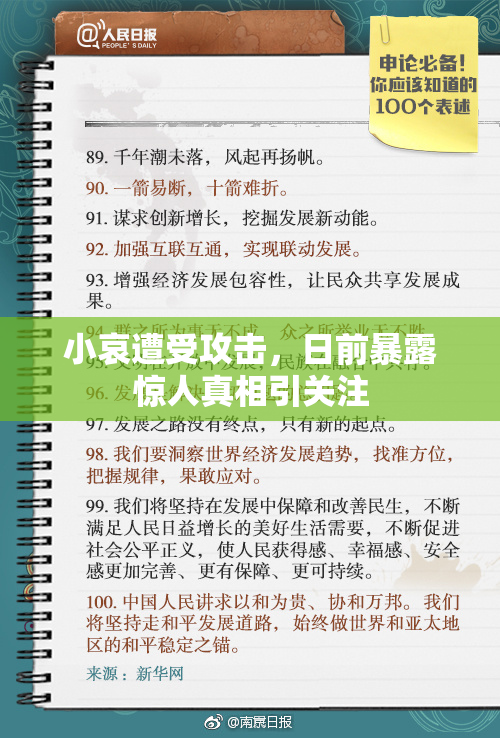 小哀遭受攻击，日前暴露惊人真相引关注