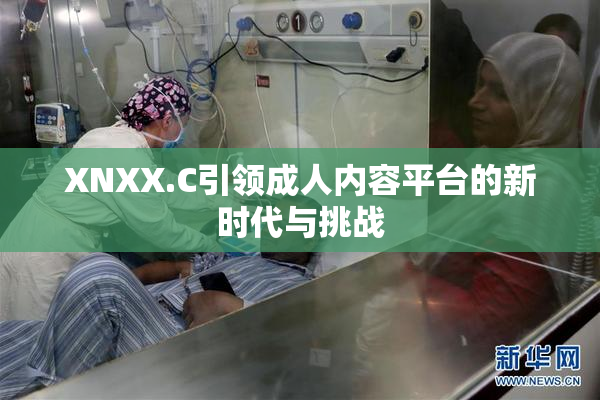 XNXX.C引领成人内容平台的新时代与挑战