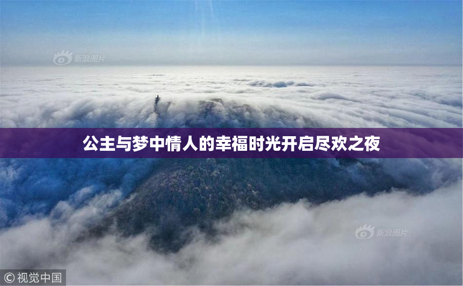 公主与梦中情人的幸福时光开启尽欢之夜