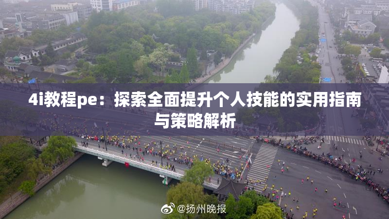 4i教程pe：探索全面提升个人技能的实用指南与策略解析