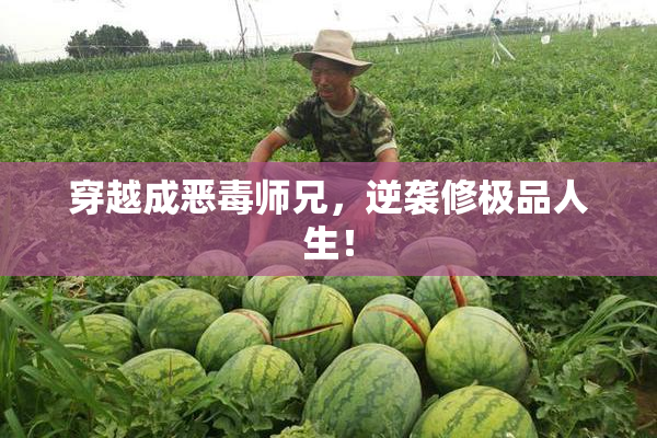 穿越成恶毒师兄，逆袭修极品人生！