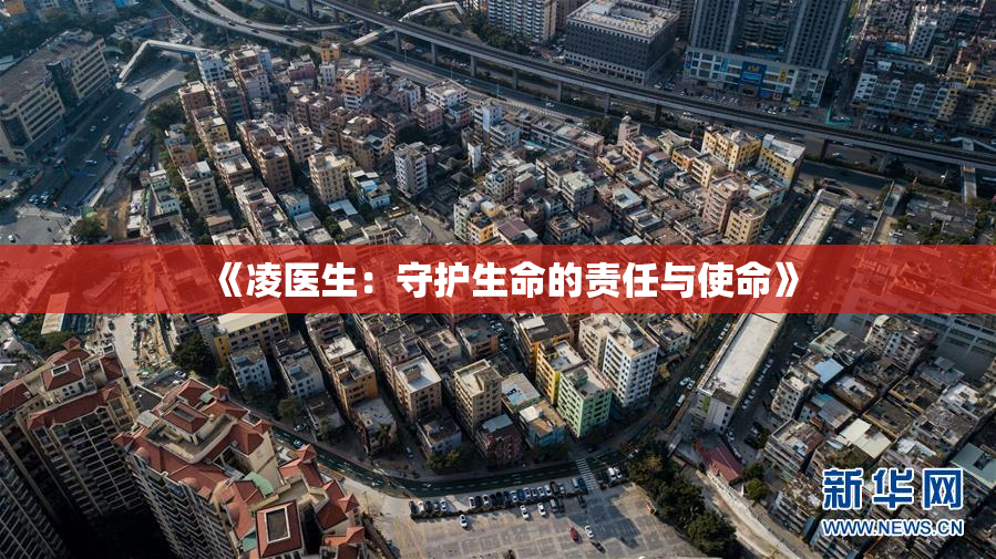 《凌医生：守护生命的责任与使命》