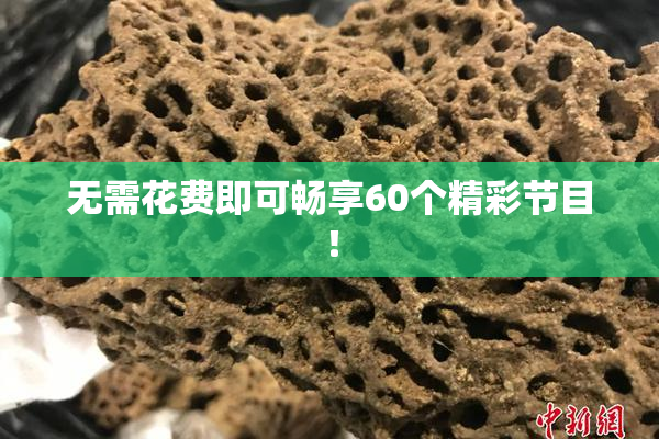 无需花费即可畅享60个精彩节目！