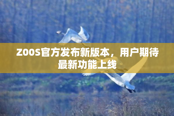 Z00S官方发布新版本，用户期待最新功能上线