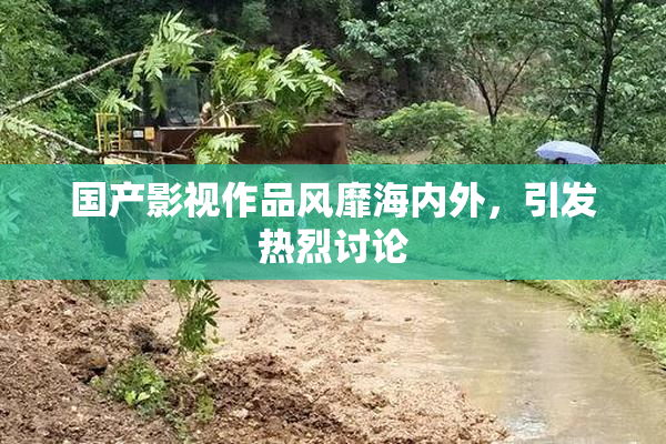 国产影视作品风靡海内外，引发热烈讨论