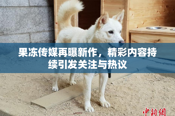 果冻传媒再曝新作，精彩内容持续引发关注与热议