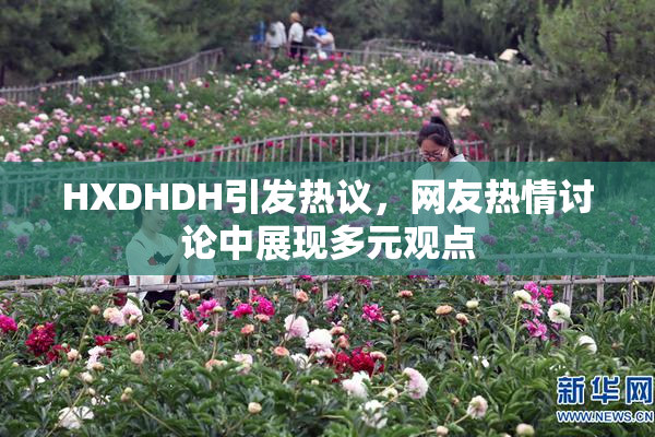 HXDHDH引发热议，网友热情讨论中展现多元观点