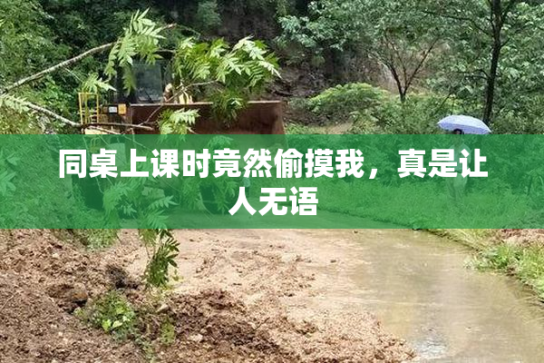同桌上课时竟然偷摸我，真是让人无语