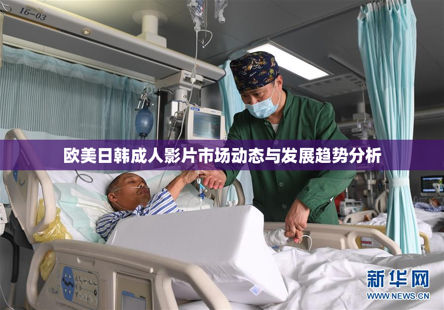 欧美日韩成人影片市场动态与发展趋势分析