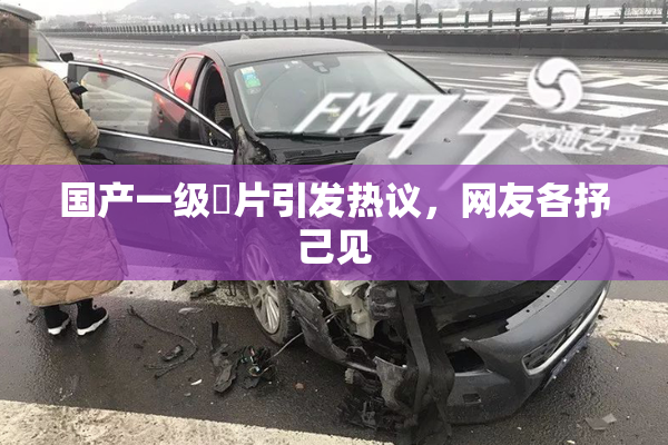 国产一级婬片引发热议，网友各抒己见
