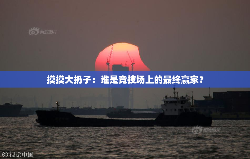 摸摸大扔子：谁是竞技场上的最终赢家？