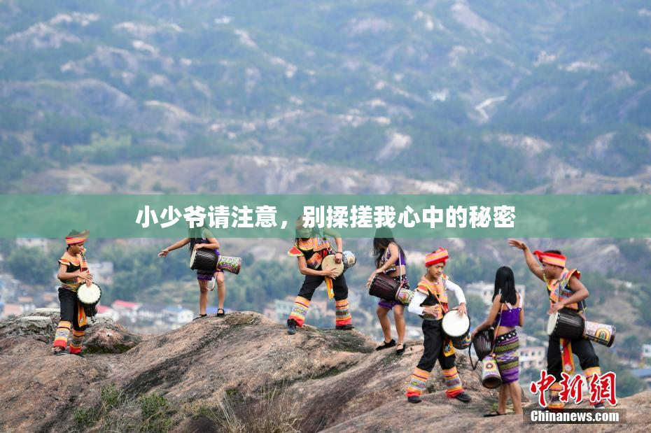 小少爷请注意，别揉搓我心中的秘密