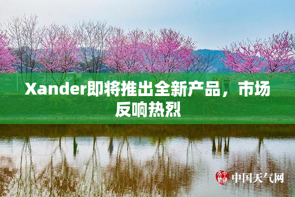 Xander即将推出全新产品，市场反响热烈