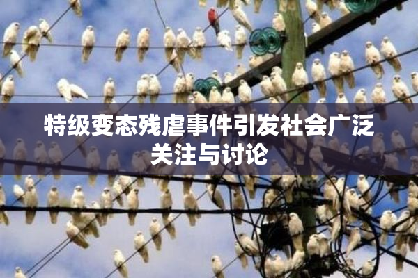 特级变态残虐事件引发社会广泛关注与讨论