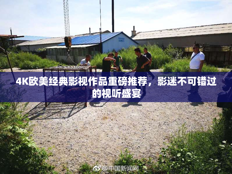 4K欧美经典影视作品重磅推荐，影迷不可错过的视听盛宴