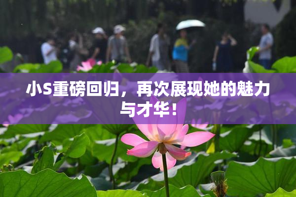 小S重磅回归，再次展现她的魅力与才华！