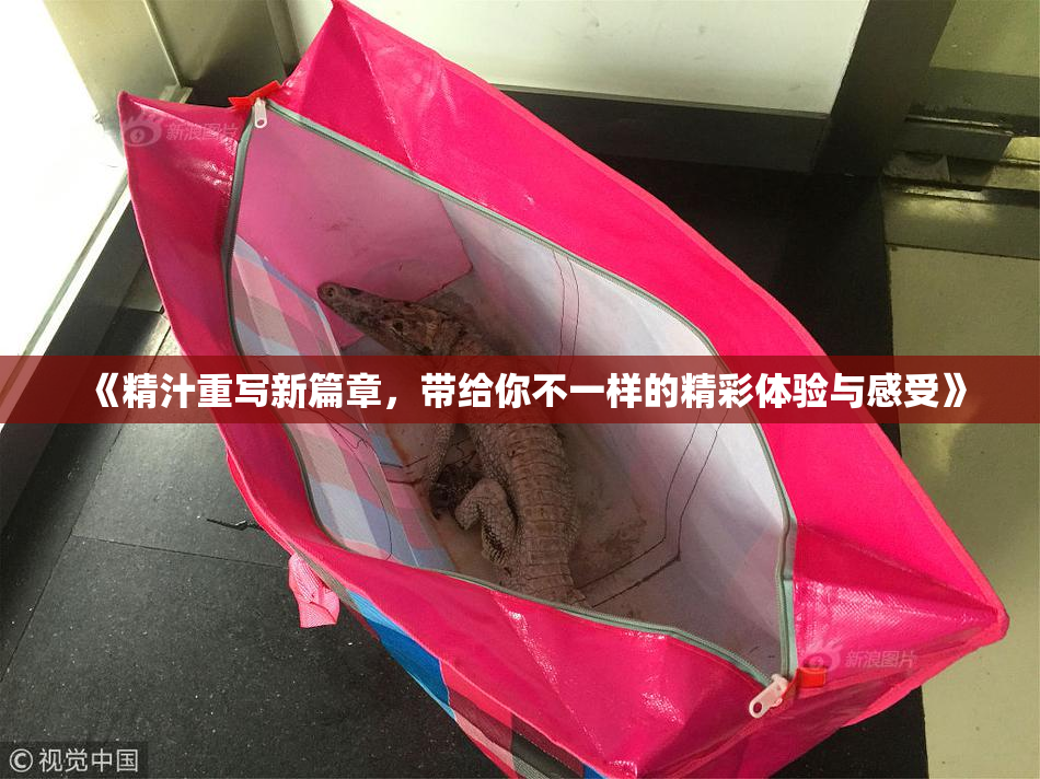 《精汁重写新篇章，带给你不一样的精彩体验与感受》