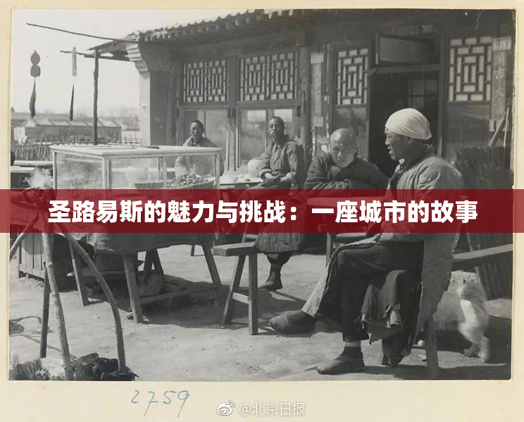 圣路易斯的魅力与挑战：一座城市的故事