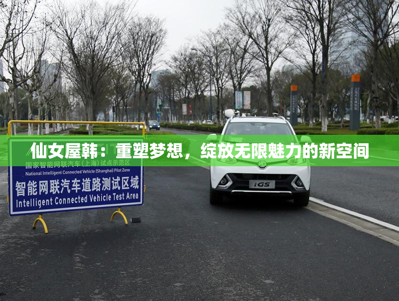 仙女屋韩：重塑梦想，绽放无限魅力的新空间