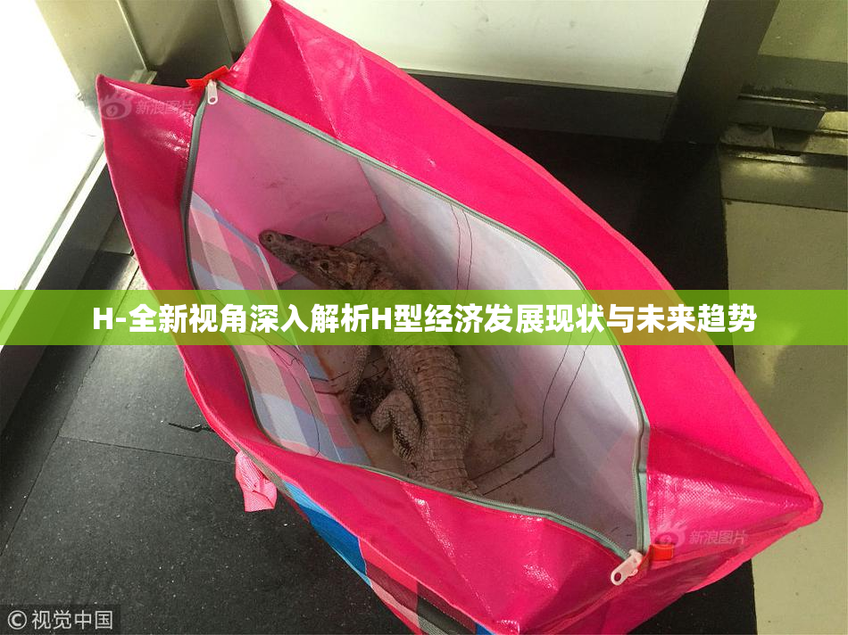 H-全新视角深入解析H型经济发展现状与未来趋势