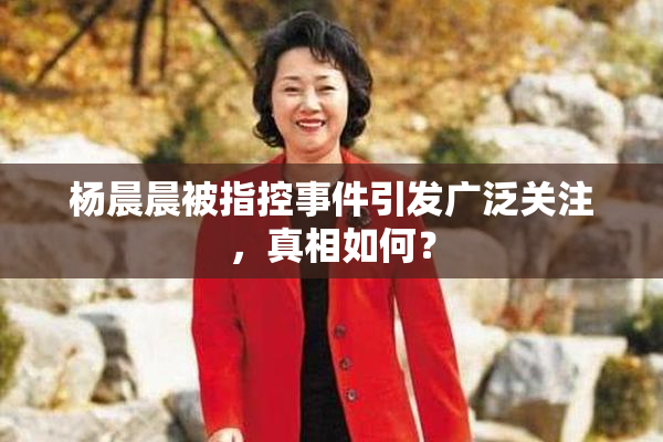 杨晨晨被指控事件引发广泛关注，真相如何？