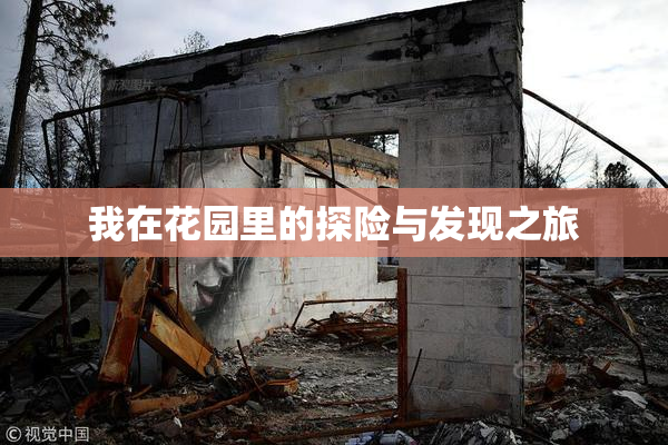 我在花园里的探险与发现之旅