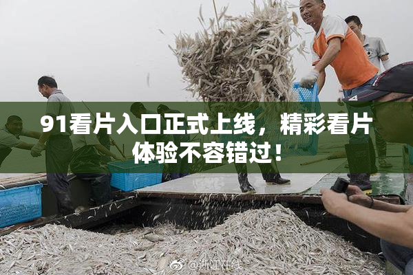 91看片入口正式上线，精彩看片体验不容错过！