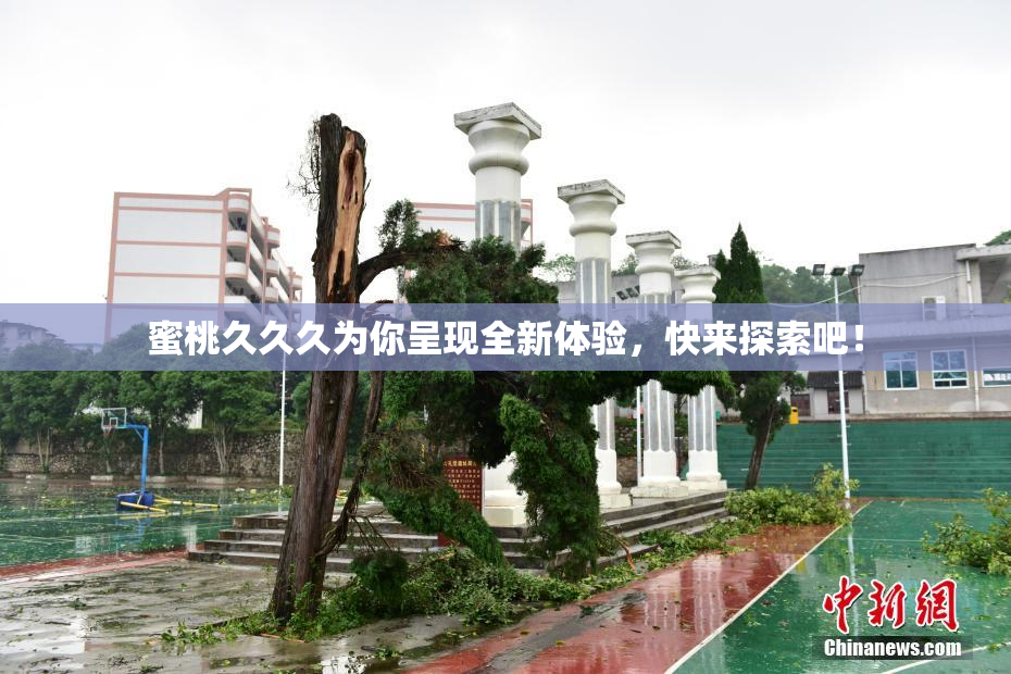 蜜桃久久久为你呈现全新体验，快来探索吧！