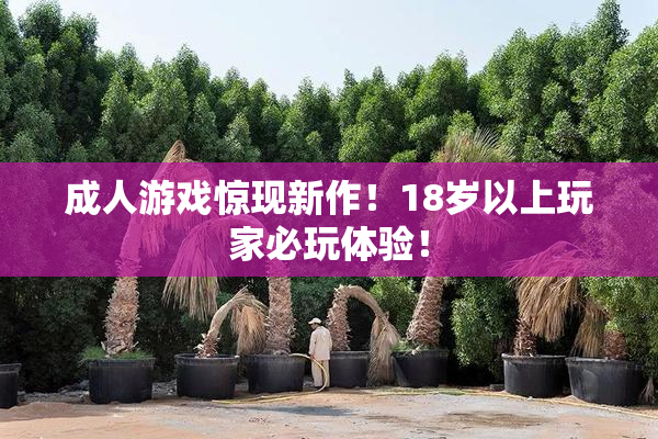 成人游戏惊现新作！18岁以上玩家必玩体验！