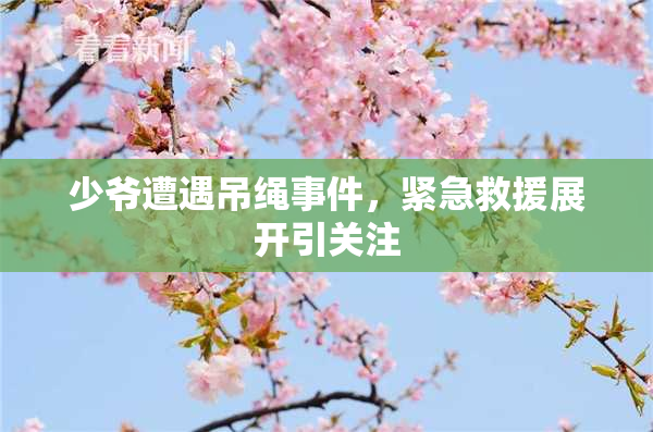 少爷遭遇吊绳事件，紧急救援展开引关注
