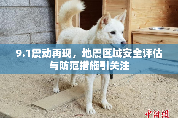 9.1震动再现，地震区域安全评估与防范措施引关注