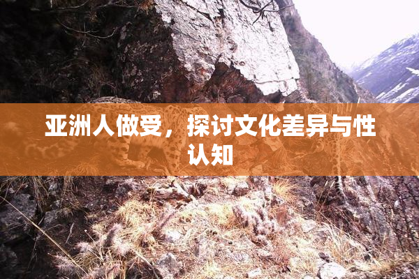 亚洲人做受，探讨文化差异与性认知