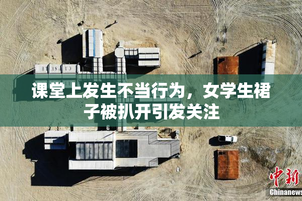 课堂上发生不当行为，女学生裙子被扒开引发关注