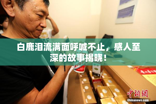 白鹿泪流满面呼喊不止，感人至深的故事揭晓！