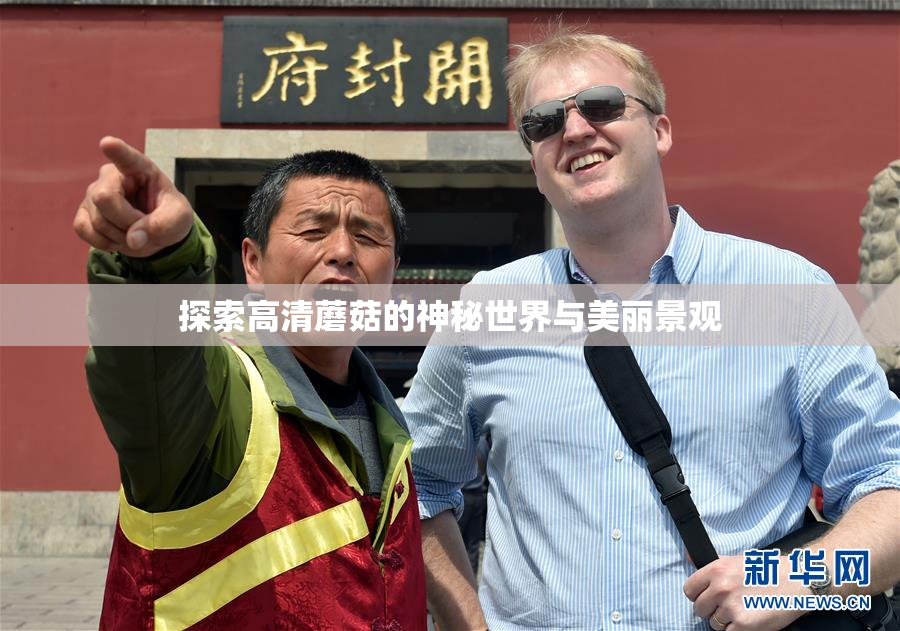 探索高清蘑菇的神秘世界与美丽景观