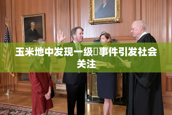 玉米地中发现一级婬事件引发社会关注