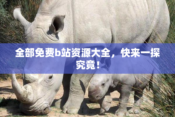 全部免费b站资源大全，快来一探究竟！