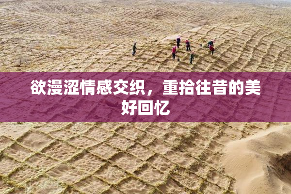 欲漫涩情感交织，重拾往昔的美好回忆