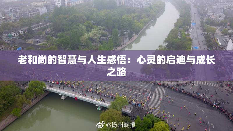 老和尚的智慧与人生感悟：心灵的启迪与成长之路